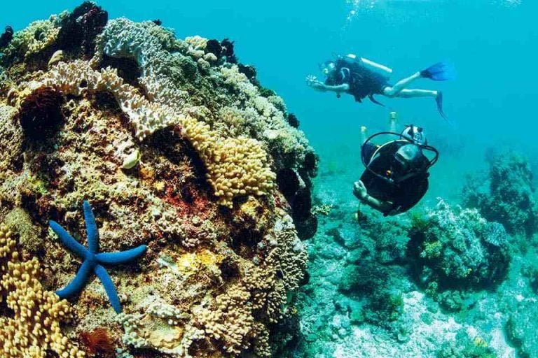 Những thông tin cần biết trước khi mua tour du lịch lặn ngắm san hô Phú Quốc