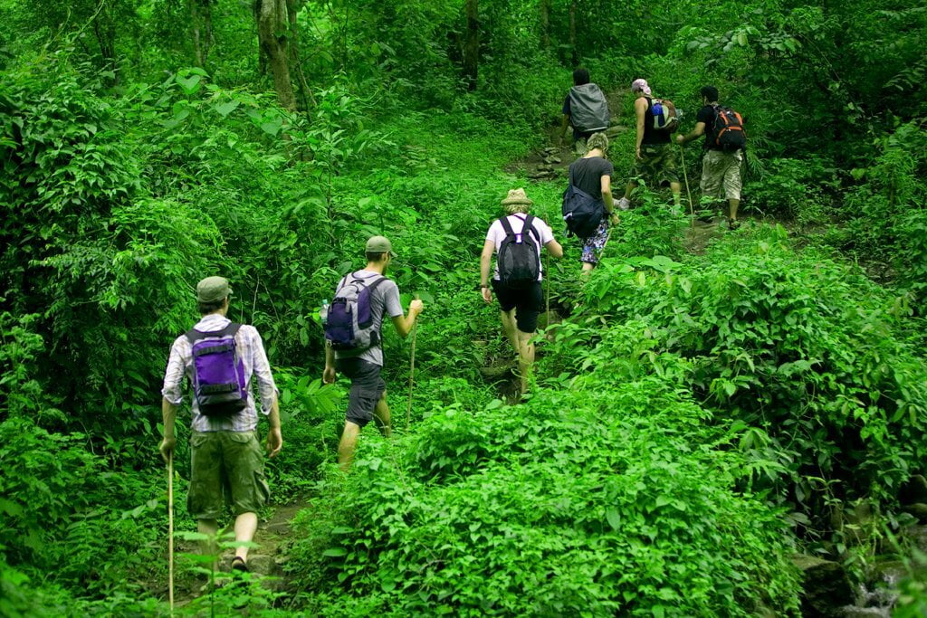 Hoạt động trekking xuyên rừng tại Đảo Thiên Đường Hòn Thơm.